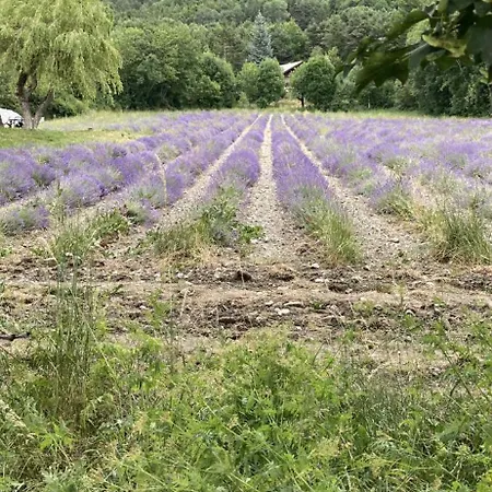 Apartamento 4 Couchages A St Jean-montclar Ete/hiver *